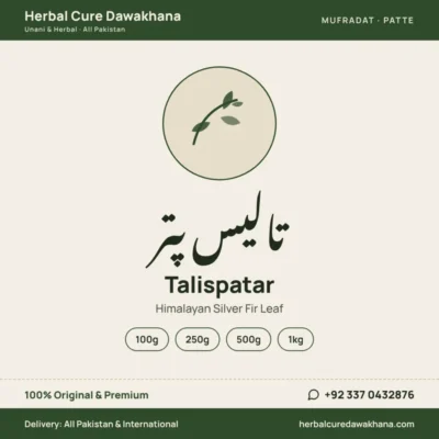 Talispatar (Himalayan Silver Fir Leaf)