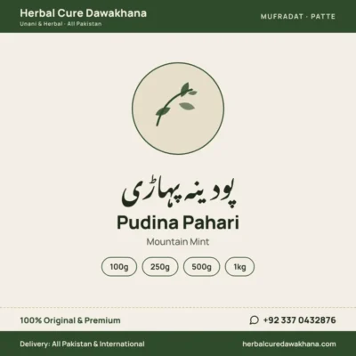 Pudina Pahari (Mountain Mint)