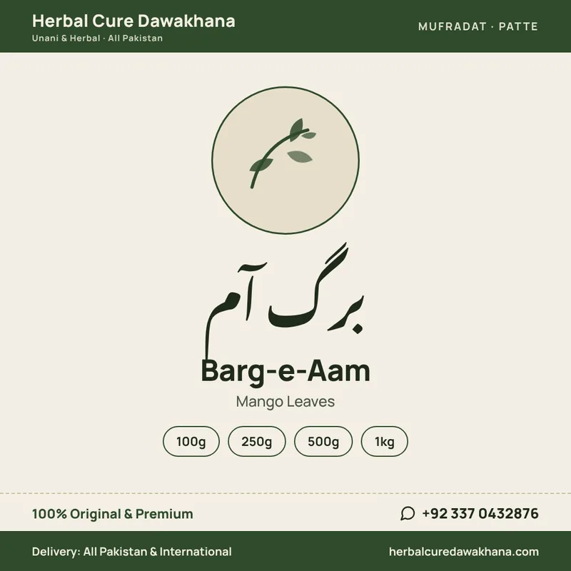Barg-e-Aam (Mango Leaves)