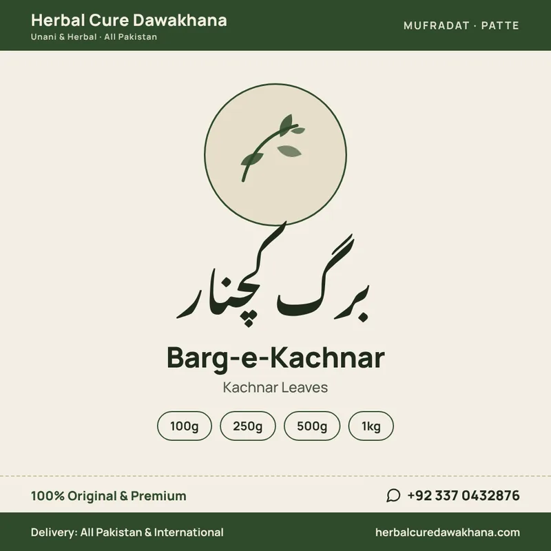 Barg-e-Kachnar (Kachnar Leaves)