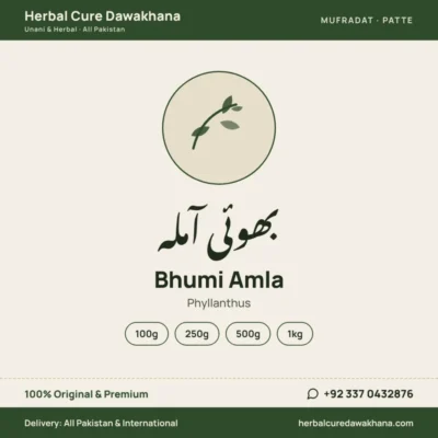Bhumi Amla (Phyllanthus)