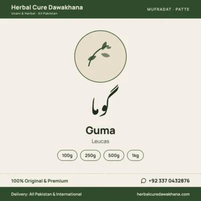 Guma (Leucas)