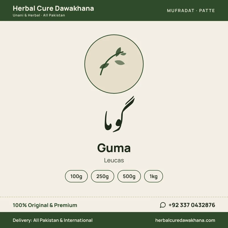 Guma (Leucas)