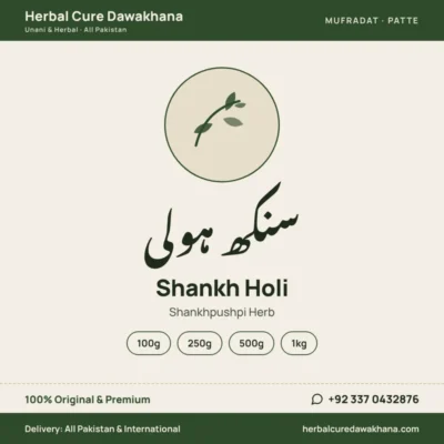 Shankh Holi (Shankhpushpi Herb)