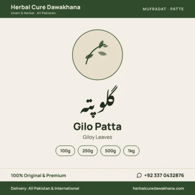 Gilo Patta (Giloy Leaves)
