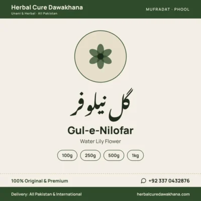 Gul-e-Nilofar (Water Lily Flower)