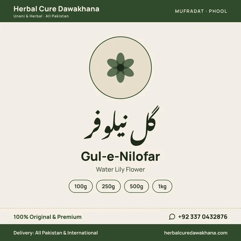 Gul-e-Nilofar (Water Lily Flower)