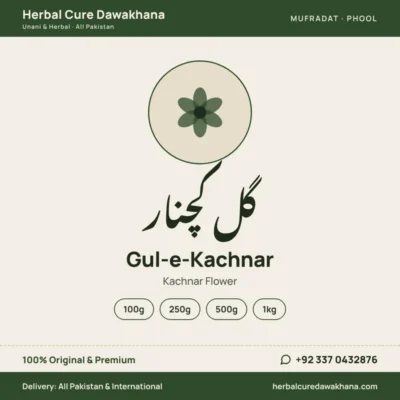 Gul-e-Kachnar (Kachnar Flower)