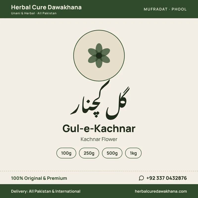 Gul-e-Kachnar (Kachnar Flower)