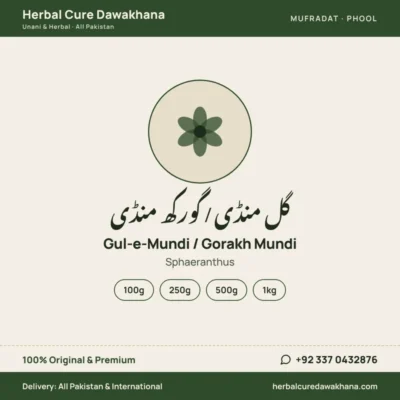 Gul-e-Mundi / Gorakh Mundi (Sphaeranthus)
