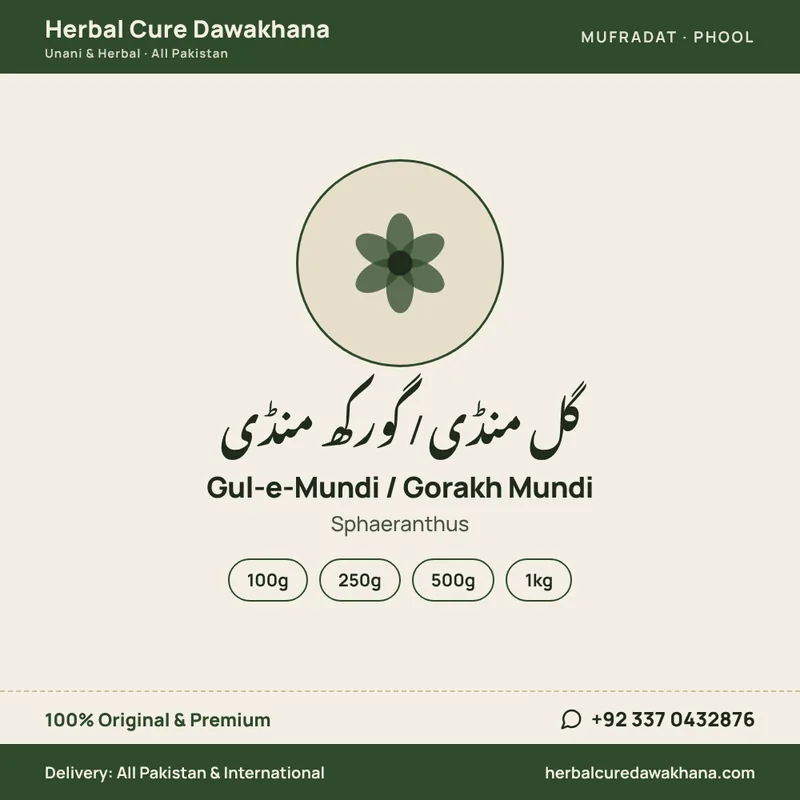 Gul-e-Mundi / Gorakh Mundi (Sphaeranthus)