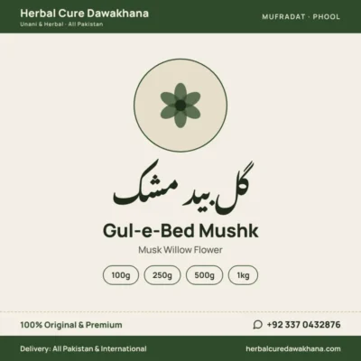 Gul-e-Bed Mushk (Musk Willow Flower)