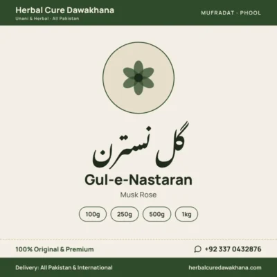 Gul-e-Nastaran (Musk Rose)