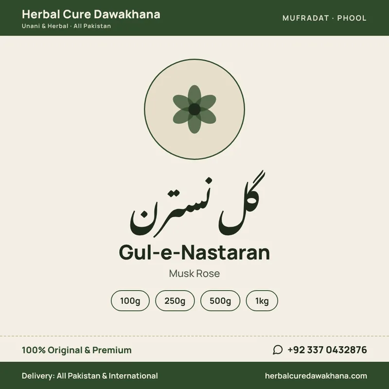 Gul-e-Nastaran (Musk Rose)