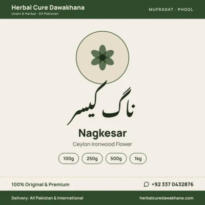 Nagkesar (Ceylon Ironwood Flower)