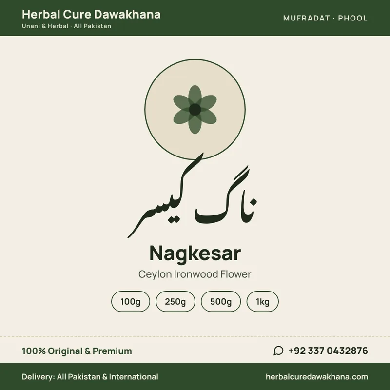 Nagkesar (Ceylon Ironwood Flower)