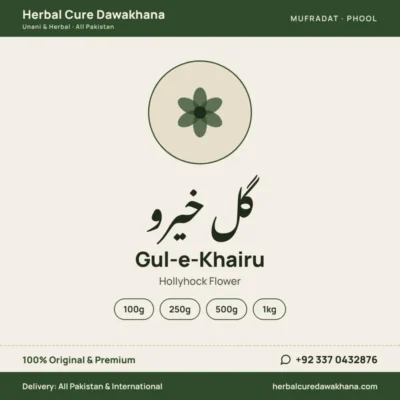 Gul-e-Khairu (Hollyhock Flower)