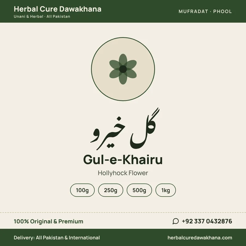 Gul-e-Khairu (Hollyhock Flower)
