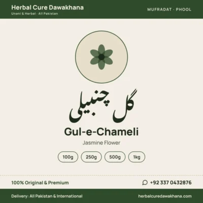 Gul-e-Chameli (Jasmine Flower)