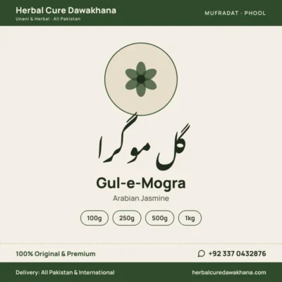 Gul-e-Mogra (Arabian Jasmine)