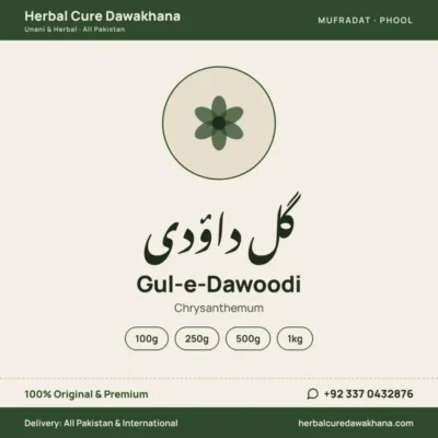 Gul-e-Dawoodi (Chrysanthemum)
