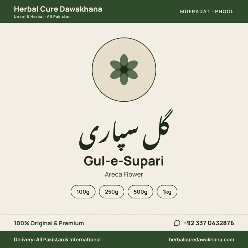 Gul-e-Supari (Areca Flower)