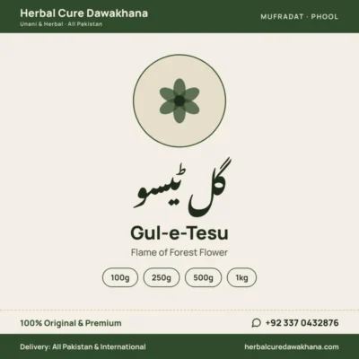 Gul-e-Tesu (Flame of Forest Flower)