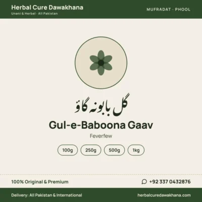 Gul-e-Baboona Gaav (Feverfew)