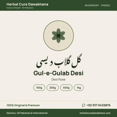 Gul-e-Gulab Desi (Desi Rose)