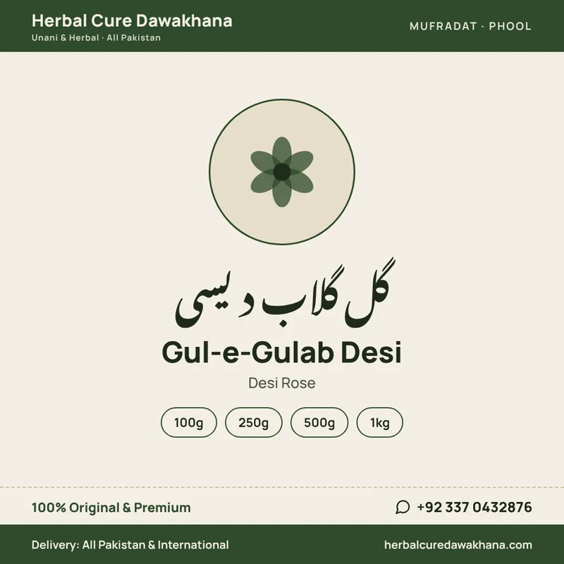 Gul-e-Gulab Desi (Desi Rose)