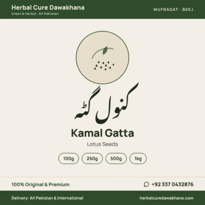 Kamal Gatta (Lotus Seeds)