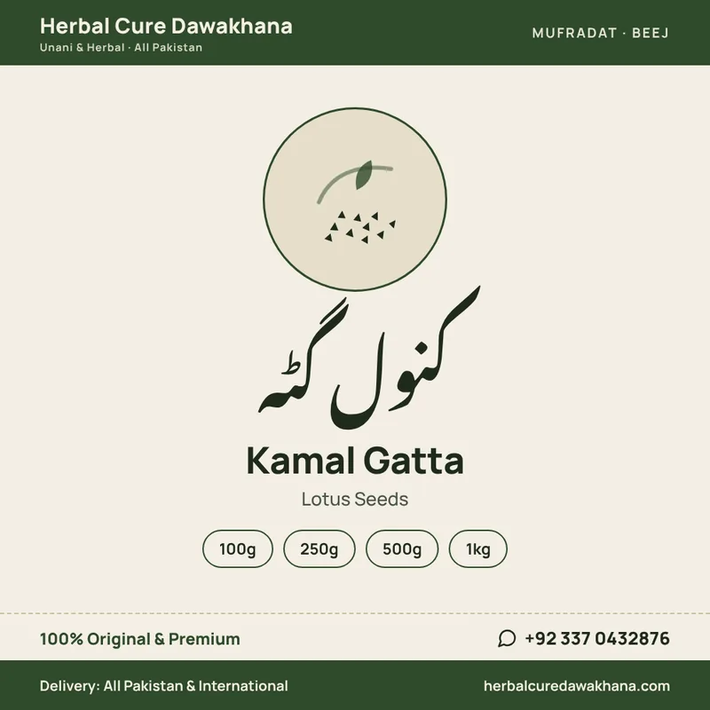 Kamal Gatta (Lotus Seeds)