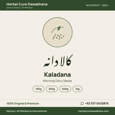 Kaladana (Morning Glory Seeds)
