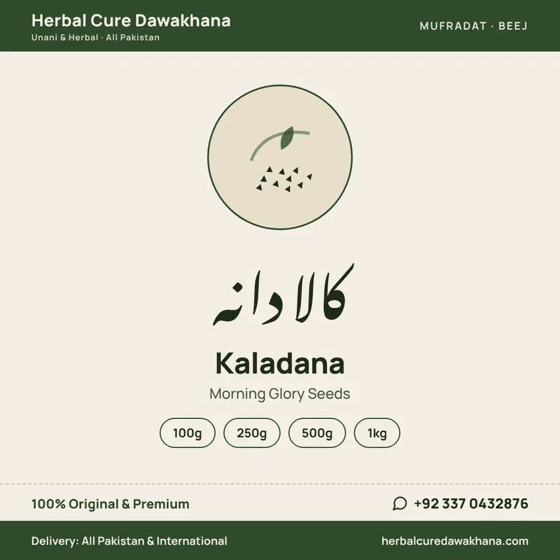 Kaladana (Morning Glory Seeds)