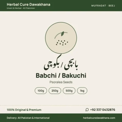 Babchi / Bakuchi (Psoralea Seeds)