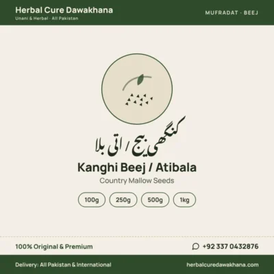 Kanghi Beej / Atibala (Country Mallow Seeds)