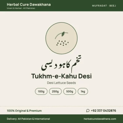 Tukhm-e-Kahu Desi (Desi Lettuce Seeds)
