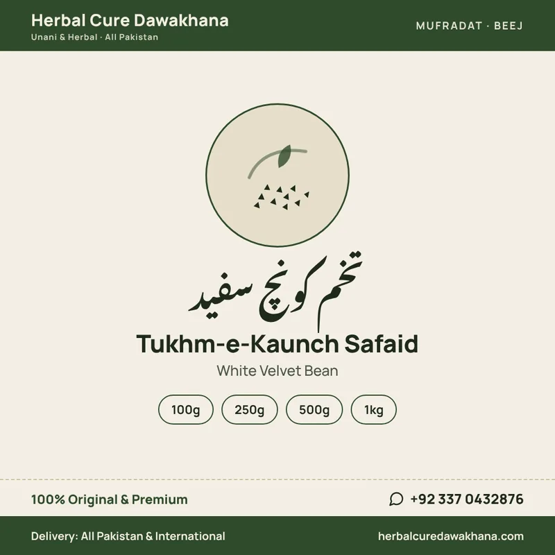Tukhm-e-Kaunch Safaid (White Velvet Bean)