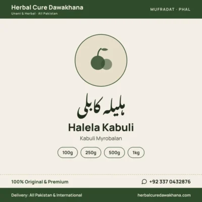 Halela Kabuli (Kabuli Myrobalan)