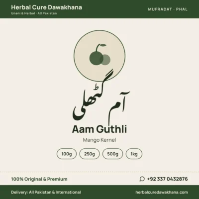 Aam Guthli (Mango Kernel)