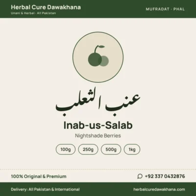Inab-us-Salab (Nightshade Berries)