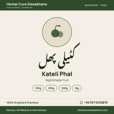 Kateli Phal (Nightshade Fruit)