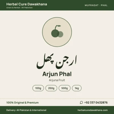 Arjun Phal (Arjuna Fruit)