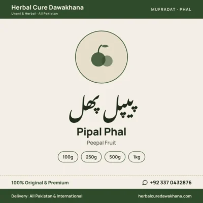 Pipal Phal (Peepal Fruit)