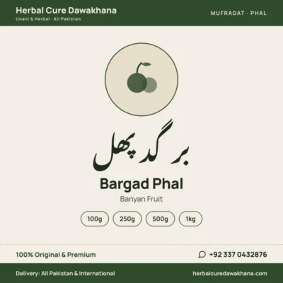 Bargad Phal (Banyan Fruit)