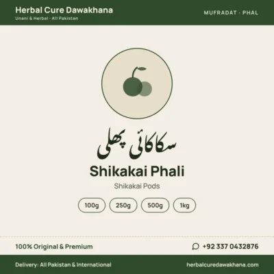 Shikakai Phali (Shikakai Pods)