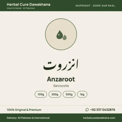 Anzaroot (Sarcocolla)