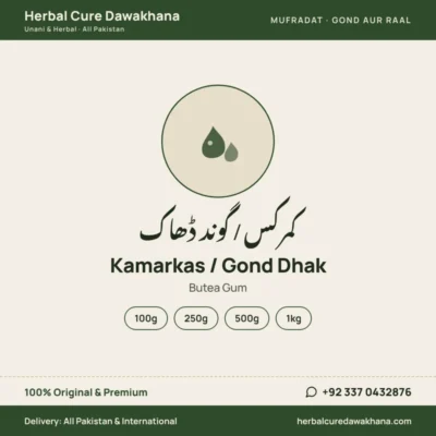Kamarkas / Gond Dhak (Butea Gum)
