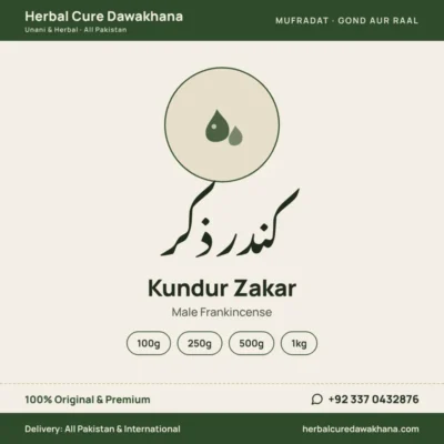 Kundur Zakar (Male Frankincense)