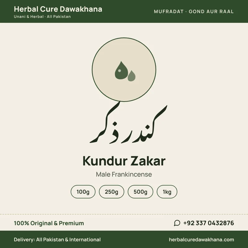 Kundur Zakar (Male Frankincense)